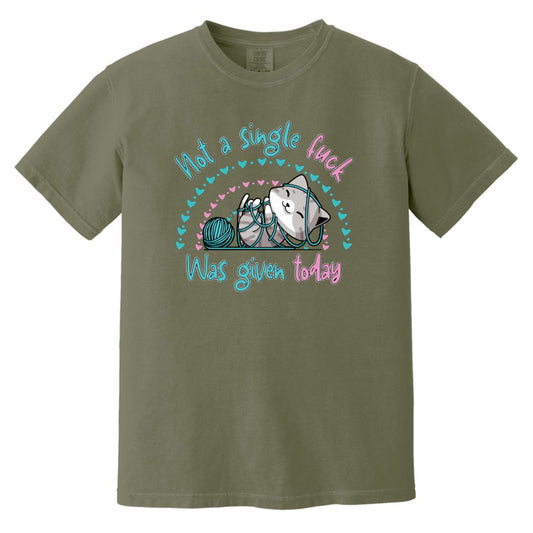 Explicit Funny Kitten | Not a Single F Was Given Today Comfort Colors Tee